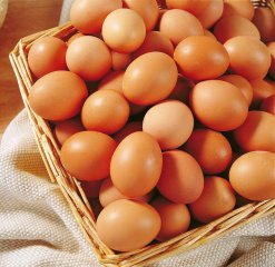 东莞配送公司鸡蛋验收方法以及运输成本的概念